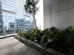 sbf-center photo thumbnail #9
